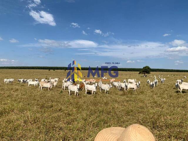 Fazenda para Venda em Inocência - 5