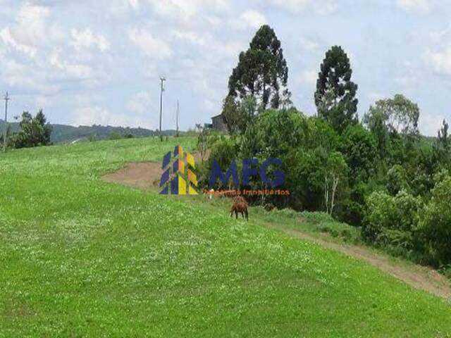 Fazenda para Venda em Sengés - 5