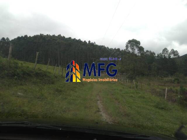 Fazenda para Venda em Guapiara - 4