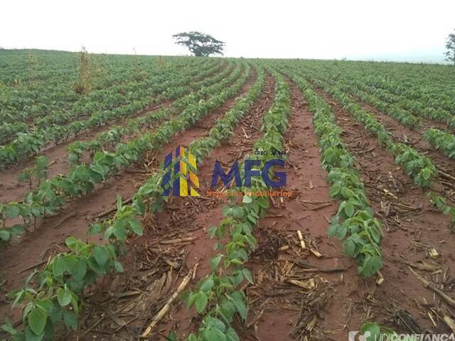 #8661 - Fazenda para Venda em Coronel Macedo - SP - 3