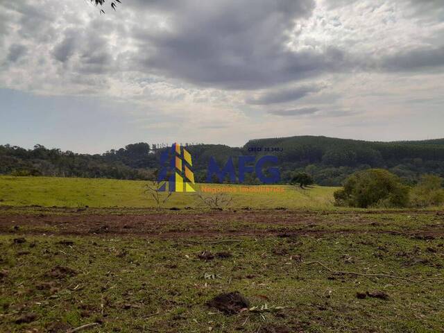 Fazenda para Venda em Itapetininga - 2