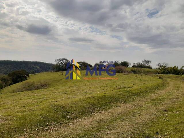 Fazenda para Venda em Itapetininga - 3