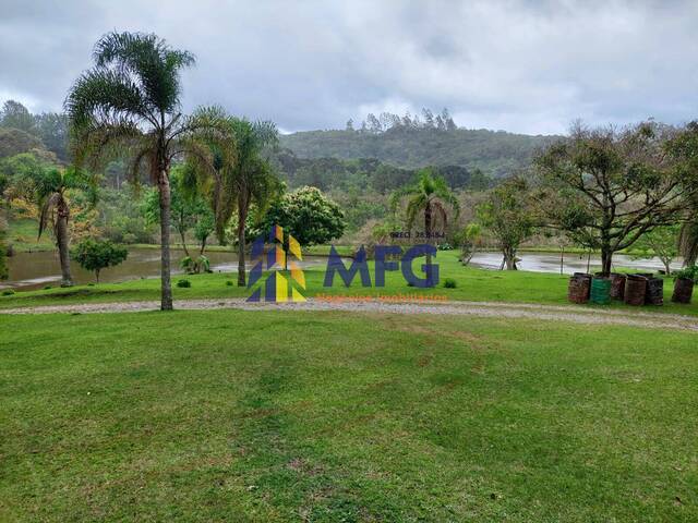 Fazenda para Venda em Bom Sucesso de Itararé - 4