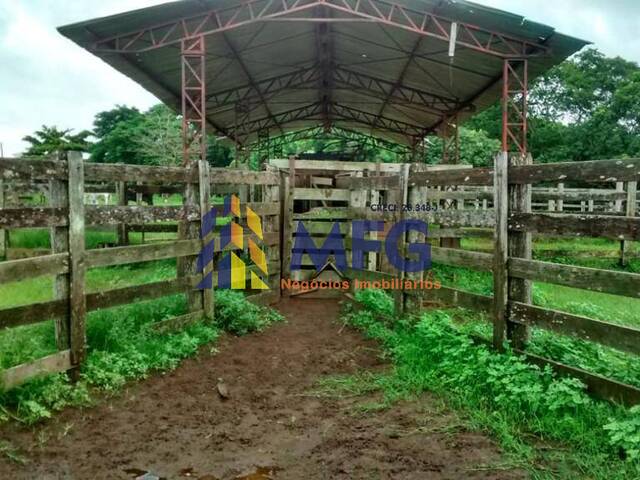 #10111 - Fazenda para Venda em Teodoro Sampaio - SP - 2