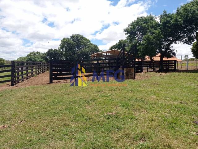 #10487 - Fazenda para Venda em Paranapanema - SP - 2