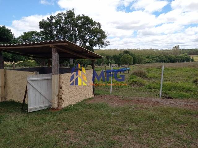 Fazenda para Venda em Paranapanema - 4