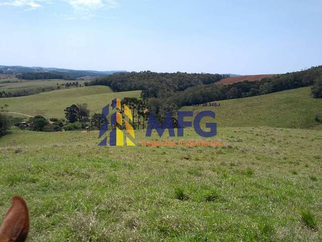 #10519 - Fazenda para Venda em Ribeirão Branco - SP - 3