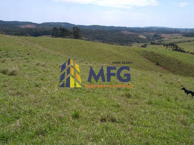 Fazenda para Venda em Ribeirão Branco - 4