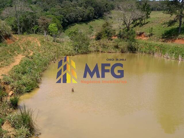 #10519 - Fazenda para Venda em Ribeirão Branco - SP - 1