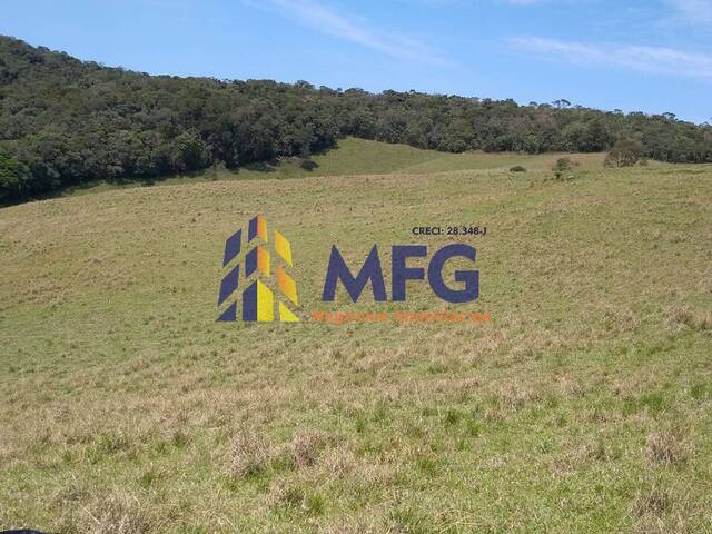 Fazenda para Venda em Ribeirão Branco - 5