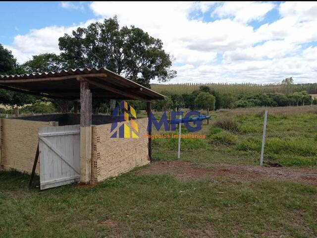 Venda em Zona Rural - Paranapanema