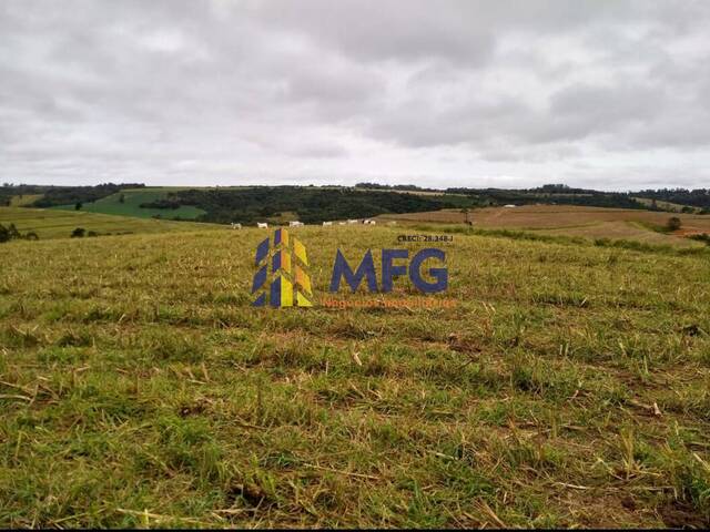 Fazenda para Venda em Itapetininga - 4