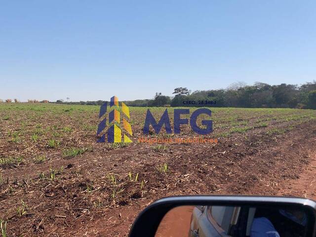 Fazenda para Venda em Sud Mennucci - 4