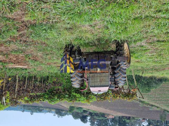 Sítio para Venda em São Miguel Arcanjo - 5