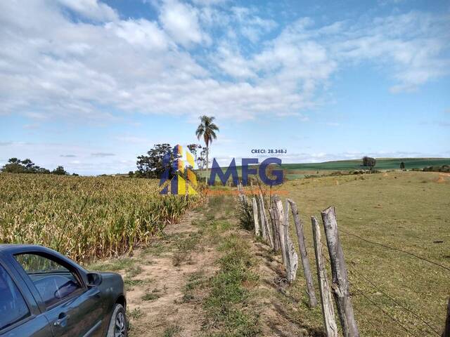 #11532 - Fazenda para Venda em Tatuí - SP - 2