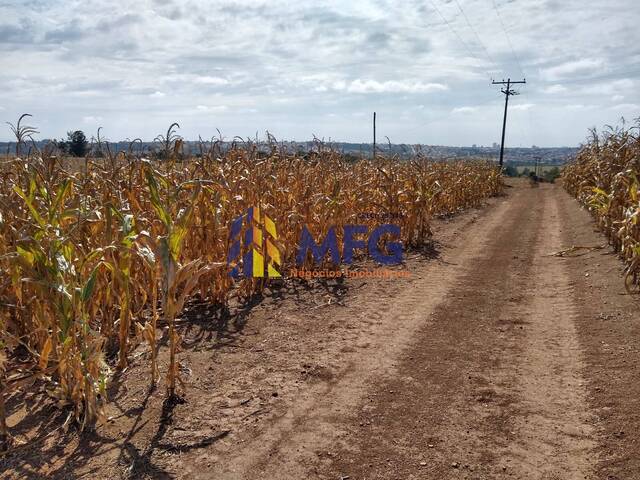 #11532 - Fazenda para Venda em Tatuí - SP - 3