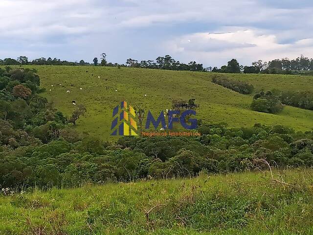 #11531 - Fazenda para Venda em Tatuí - SP - 2