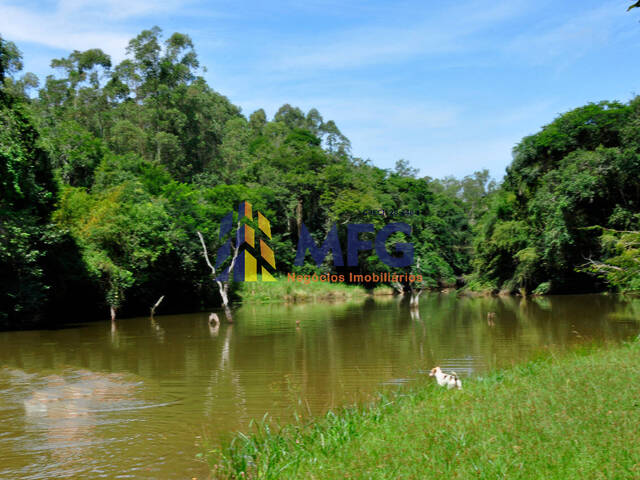 Haras para Venda em Pilar do Sul - 5