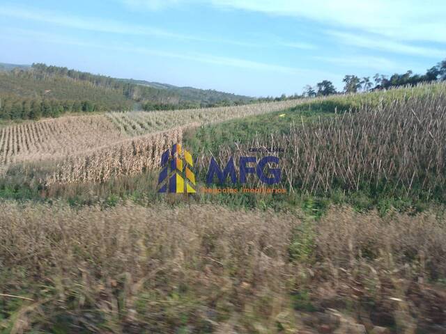 Fazenda para Venda em Ribeirão Branco - 4