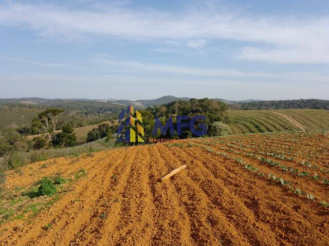 Fazenda para Venda em Ribeirão Branco - 5