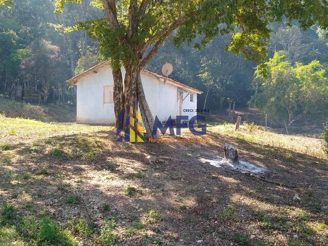 #12072 - Fazenda para Venda em Ribeirão Branco - SP - 3