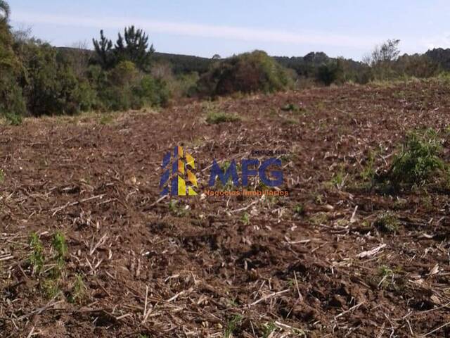 Fazenda para Venda em Ribeirão Branco - 5