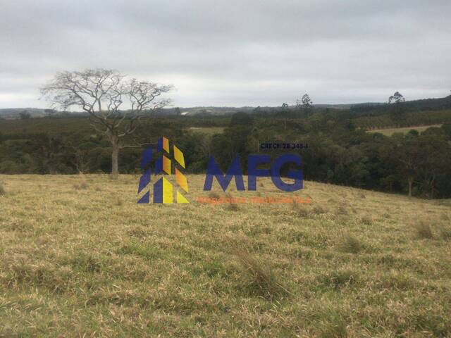 #12143 - Fazenda para Venda em São Miguel Arcanjo - SP - 3