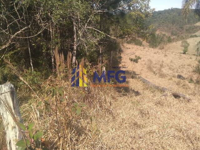 Fazenda para Venda em Ribeirão Branco - 4