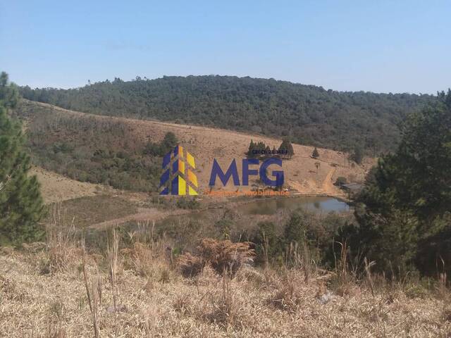 Fazenda para Venda em Ribeirão Branco - 5