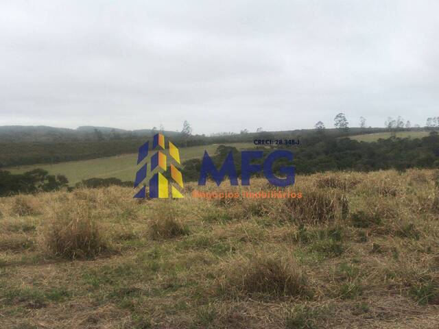 Fazenda para Venda em São Miguel Arcanjo - 4