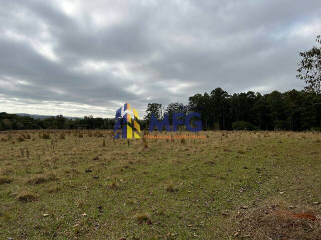 Fazenda para Venda em Angatuba - 4