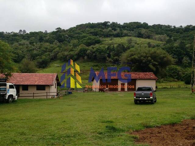 Fazenda para Venda em Guareí - 4