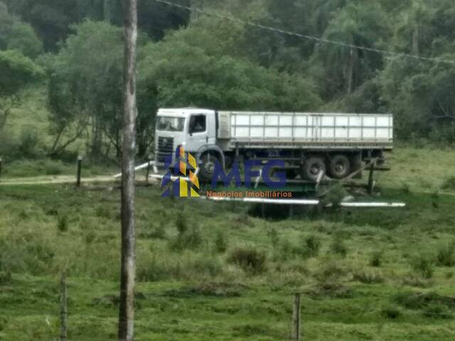 Fazenda para Venda em Guareí - 5