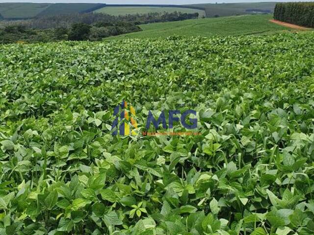 Fazenda para Venda em Bauru - 5