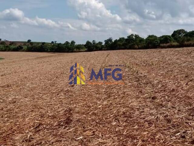 #13391 - Fazenda para Venda em Ribeirão Preto - SP - 3