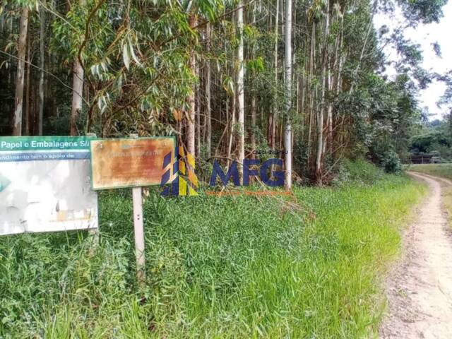 Fazenda para Venda em Ribeirão Branco - 4