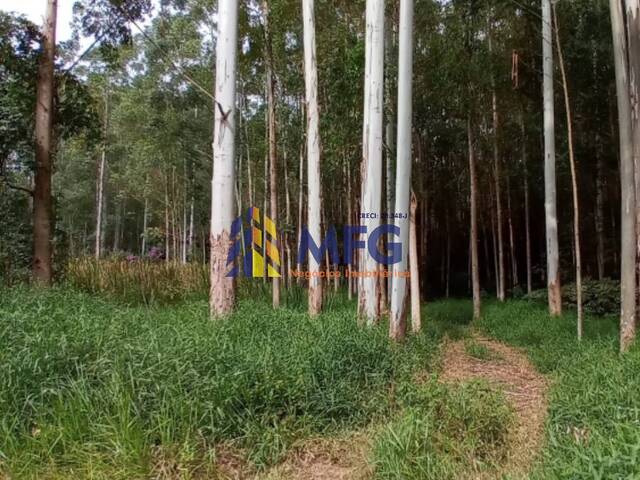 Fazenda para Venda em Ribeirão Branco - 5