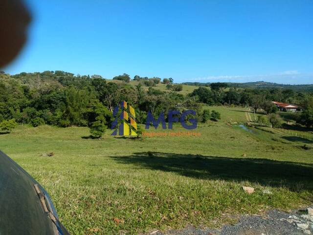 Fazenda para Venda em Itapetininga - 4