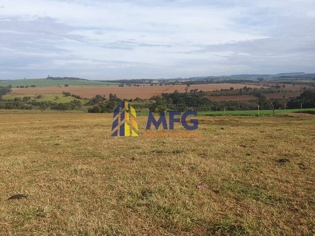 #13625 - Fazenda para Venda em Avaré - SP - 1