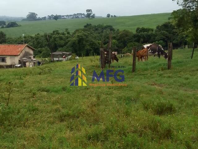 #13830 - Fazenda para Venda em Itapetininga - SP - 2