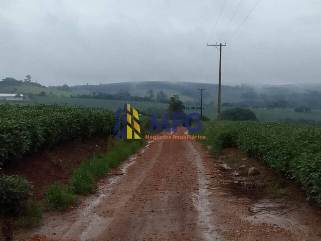 #13830 - Fazenda para Venda em Itapetininga - SP - 3