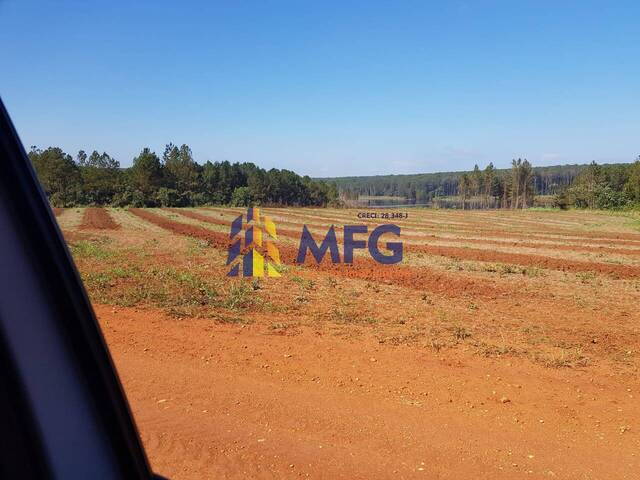 #13892 - Fazenda para Venda em Paranapanema - SP - 2