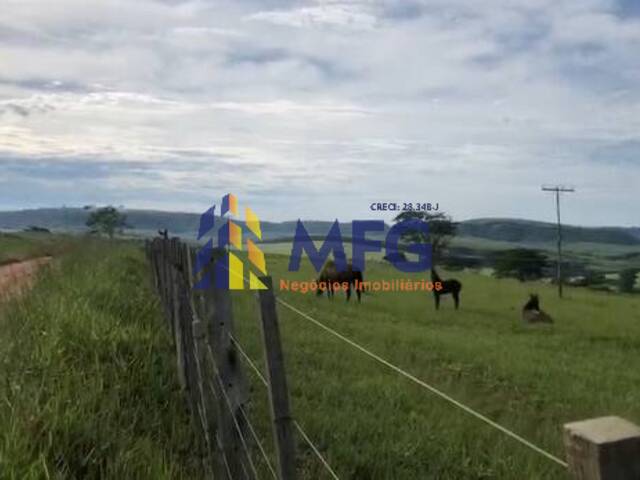 #13919 - Fazenda para Venda em Marília - SP - 2