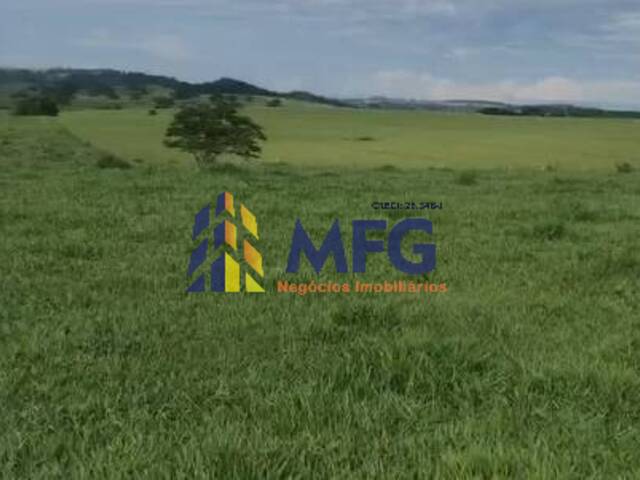 Fazenda para Venda em Marília - 5