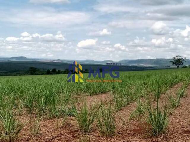 Fazenda para Venda em Ribeirão Preto - 5