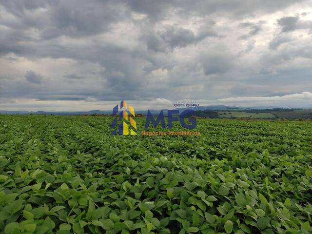 Fazenda para Venda em Ribeirão Preto - 4