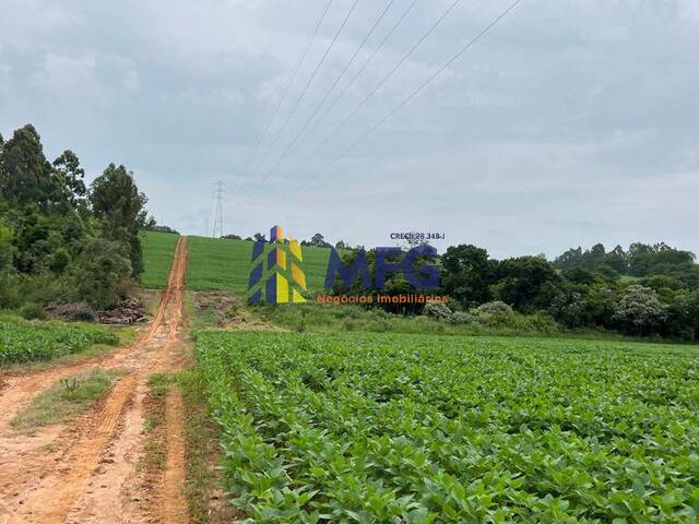 #14614 - Fazenda para Venda em Itapetininga - SP - 2