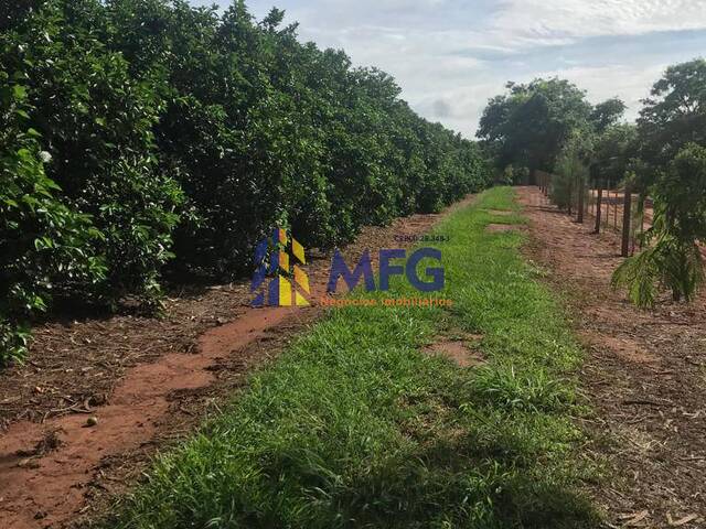 Fazenda para Venda em Jales - 4