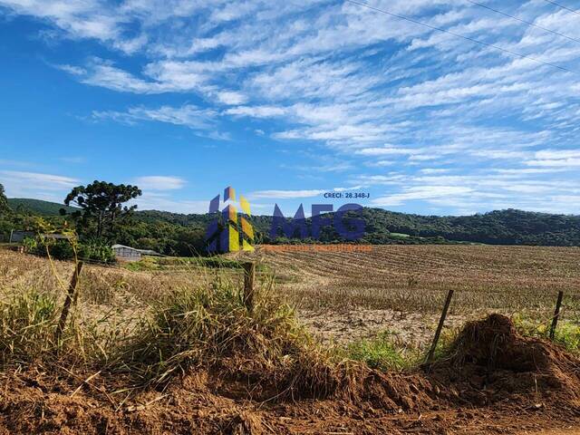 Venda em Centro - Ribeirão Branco