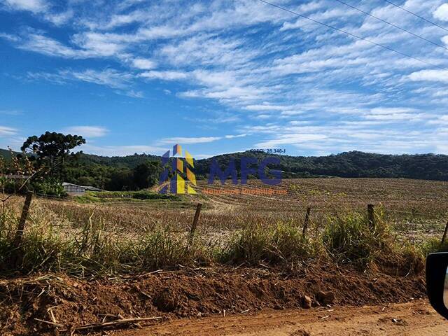 #15025 - Fazenda para Venda em Ribeirão Branco - SP - 3